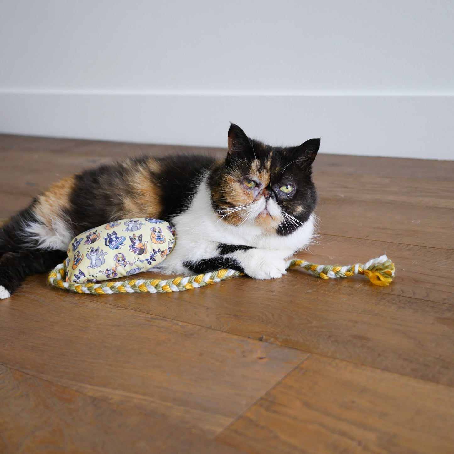 Purrducer MadRat Cat Toy Bundle
